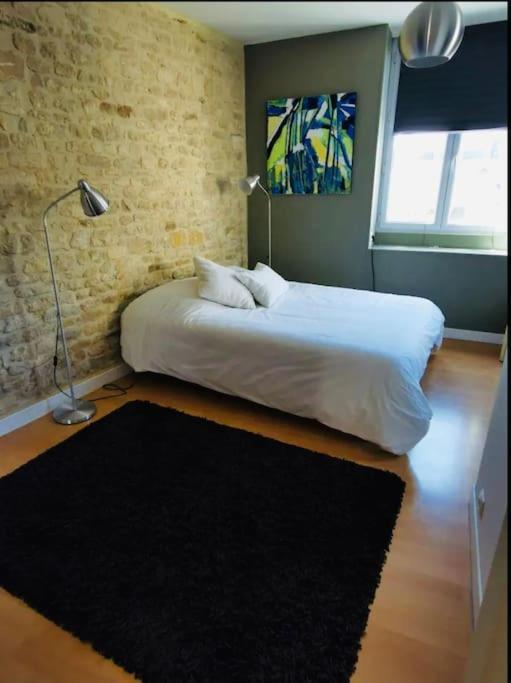 Appartement Charmant Et Elegant De Centre Ville Caen Exterior foto